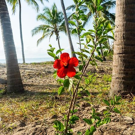 Hibiscus Beach House Pangani 외부 사진