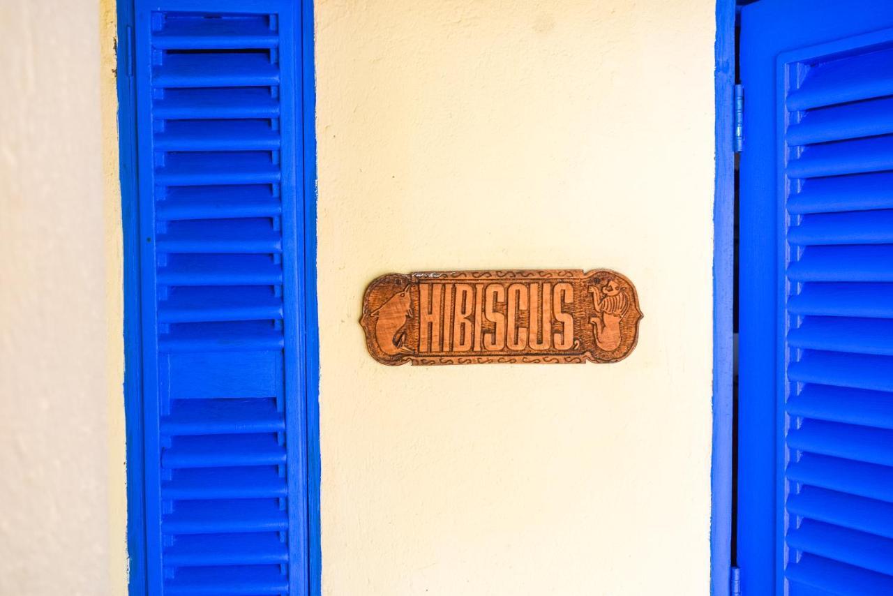 Hibiscus Beach House Pangani 외부 사진