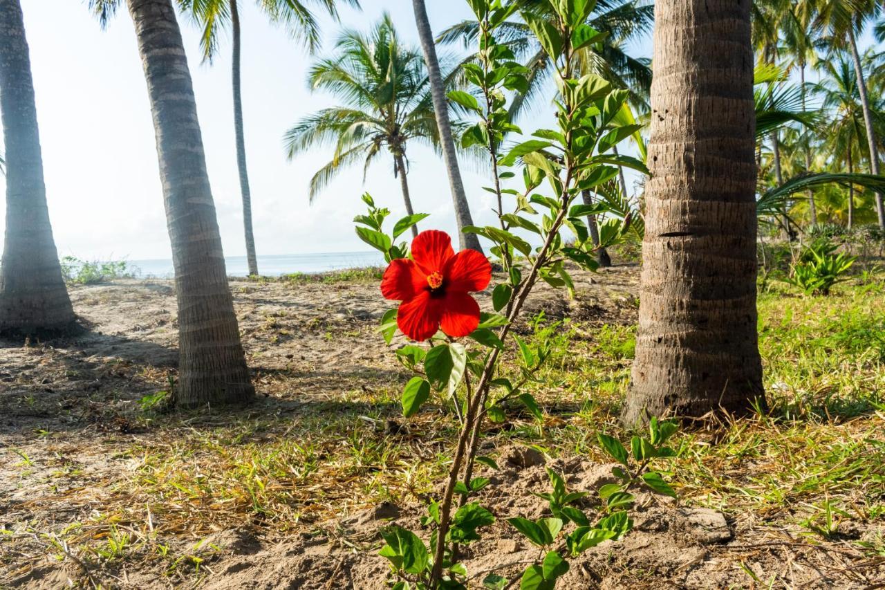 Hibiscus Beach House Pangani 외부 사진